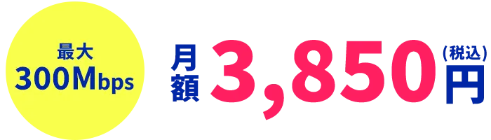 最大300Mbps 月額3,850円(税込)