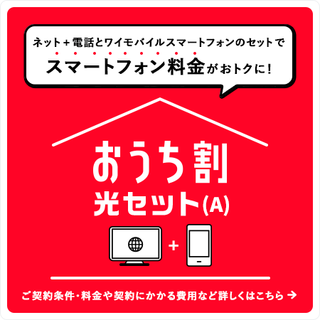 おうち割 光セット（A）